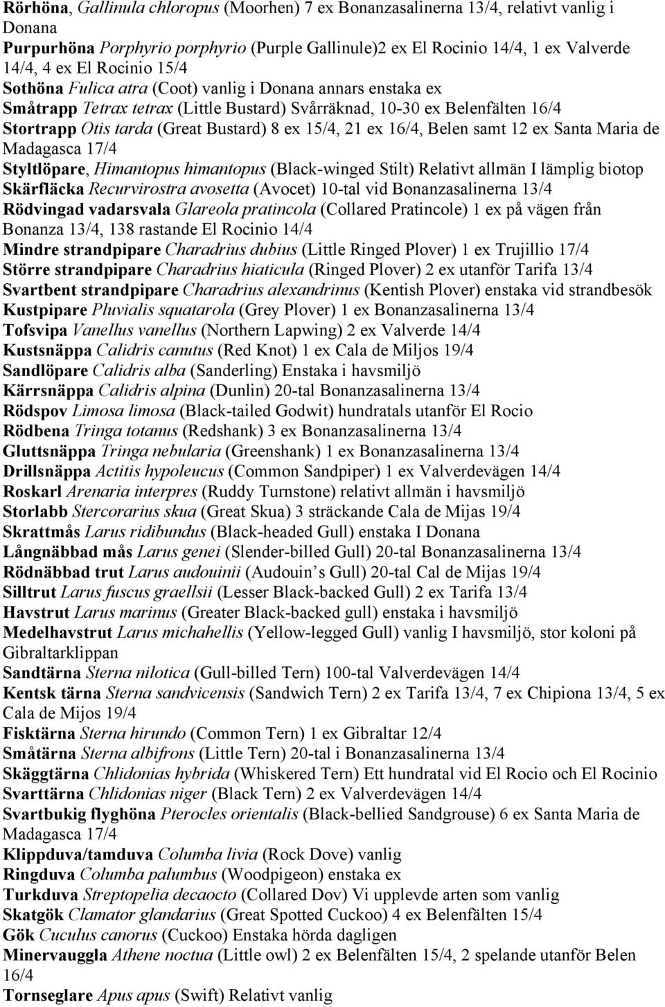 16/4, Belen samt 12 ex Santa Maria de Madagasca 17/4 Styltlöpare, Himantopus himantopus (Black-winged Stilt) Relativt allmän I lämplig biotop Skärfläcka Recurvirostra avosetta (Avocet) 10-tal vid