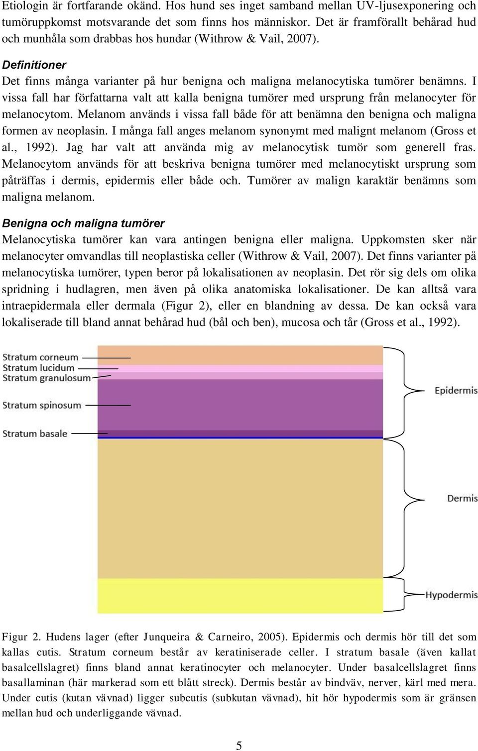 I vissa fall har författarna valt att kalla benigna tumörer med ursprung från melanocyter för melanocytom.