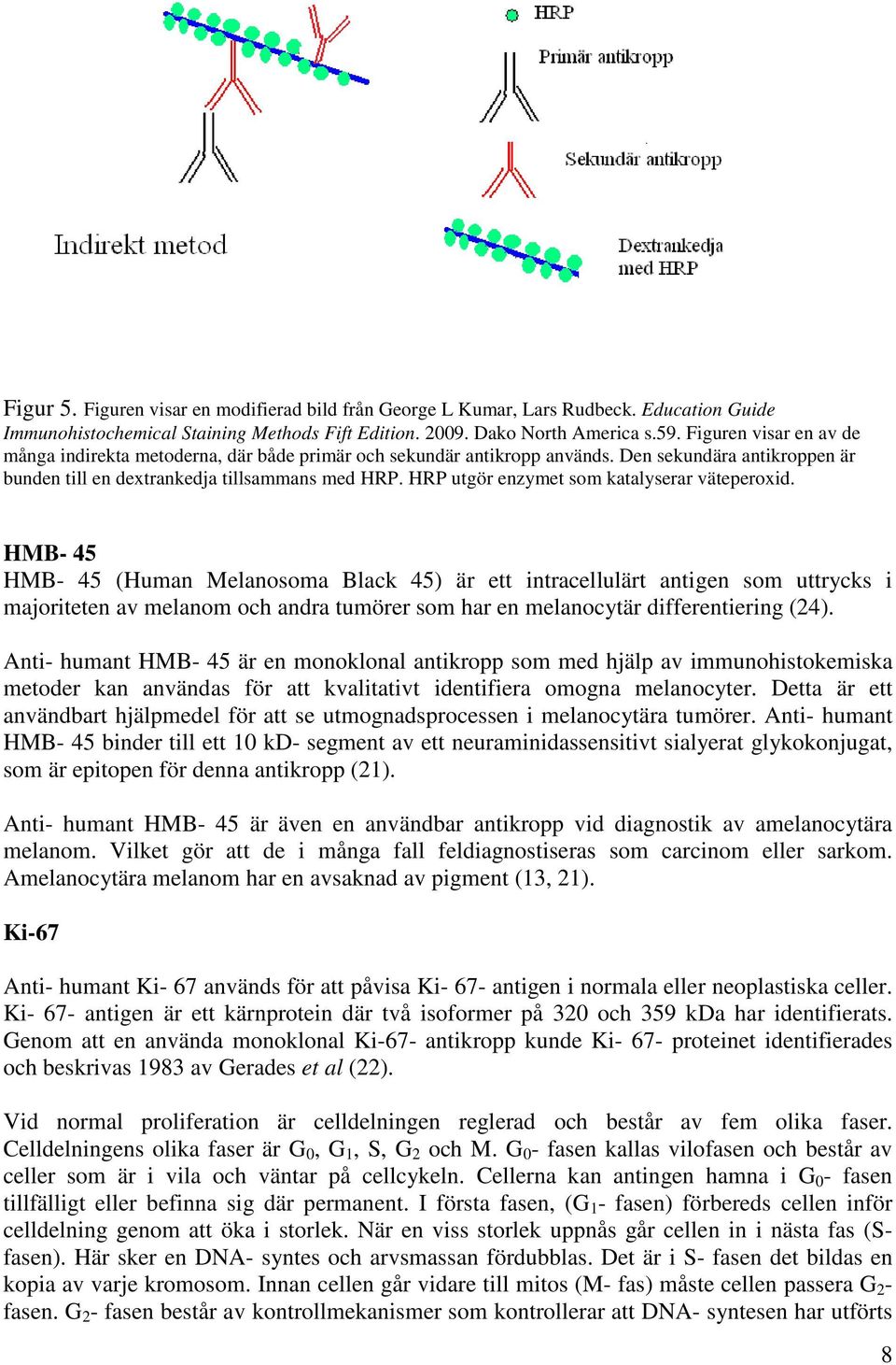 HRP utgör enzymet som katalyserar väteperoxid.