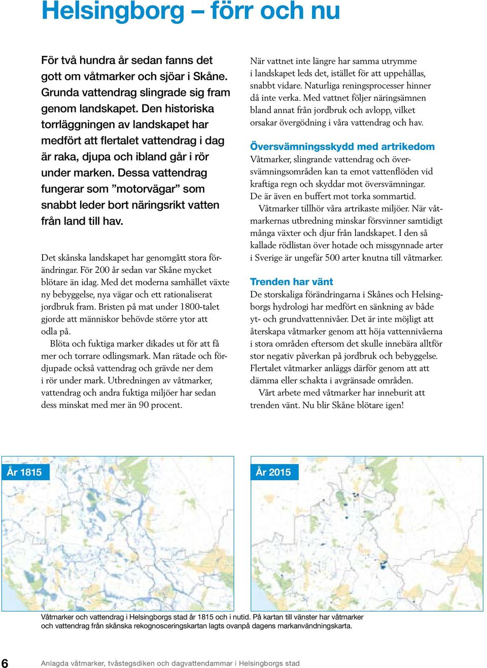 Dessa vattendrag fungerar som motorvägar som snabbt leder bort näringsrikt vatten från land till hav. Det skånska landskapet har genomgått stora förändringar.