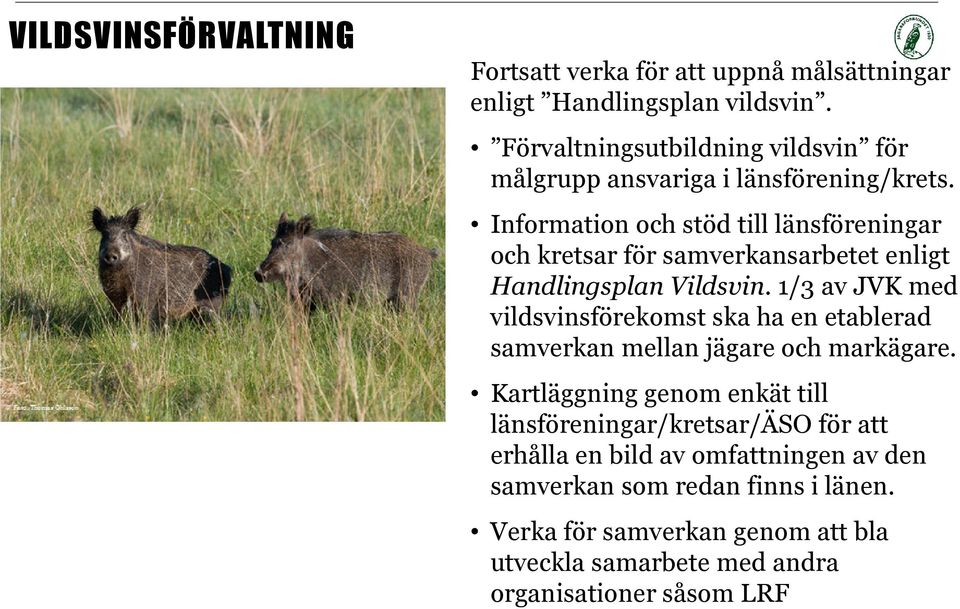 Information och stöd till länsföreningar och kretsar för samverkansarbetet enligt Handlingsplan Vildsvin.