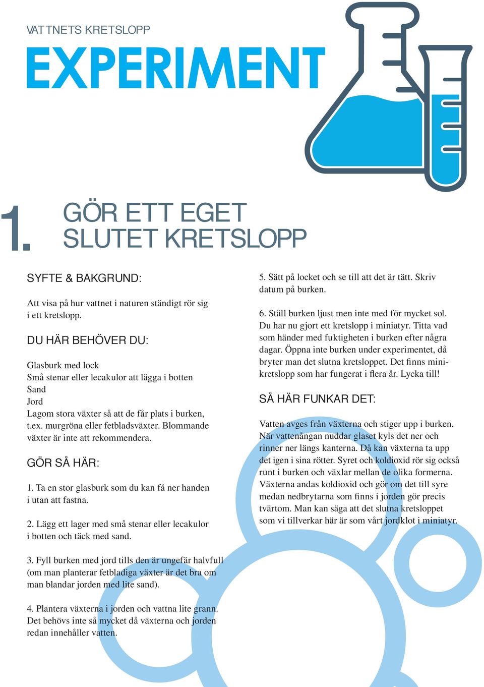 Blommande växter är inte att rekommendera. 1. Ta en stor glasburk som du kan få ner handen i utan att fastna. 2. Lägg ett lager med små stenar eller lecakulor i botten och täck med sand. 5.