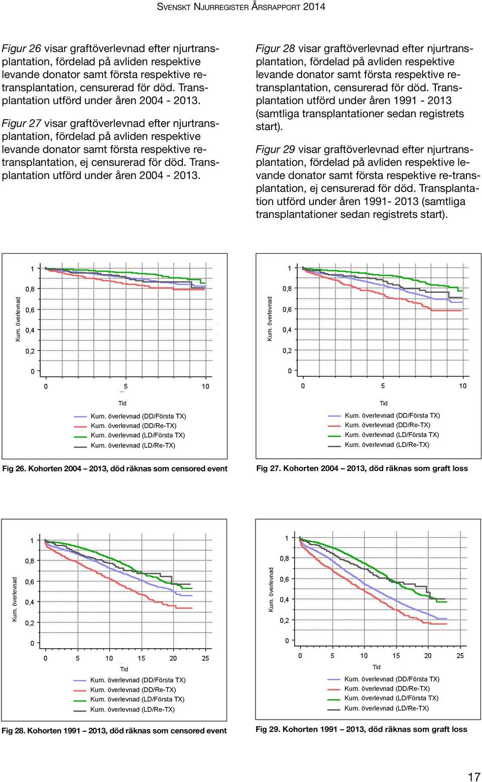 Figur 28 visar graftöverlevnad efter njurtransplantation, fördelad på avliden respektive levande donator samt första respektive retransplantation, censurerad för död.