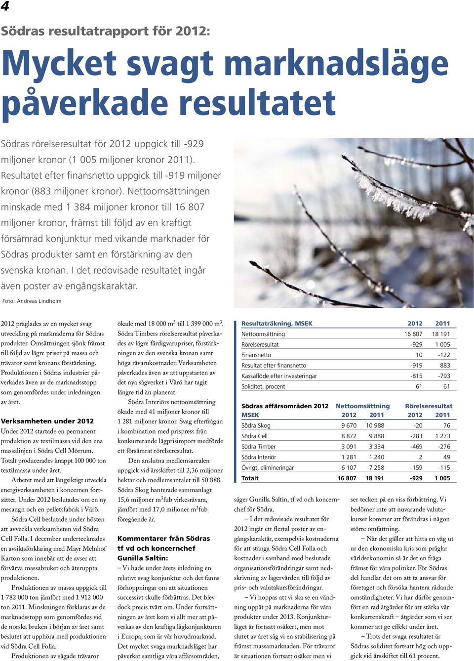 Nettoomsättningen minskade med 1 384 miljoner kronor till 16 807 miljoner kronor, främst till följd av en kraftigt försämrad konjunktur med vikande marknader för Södras produkter samt en förstärkning