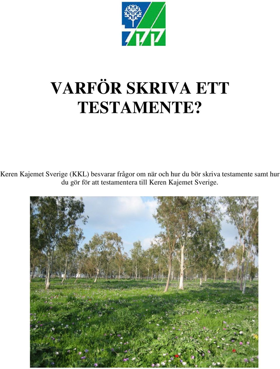 om när och hur du bör skriva testamente samt