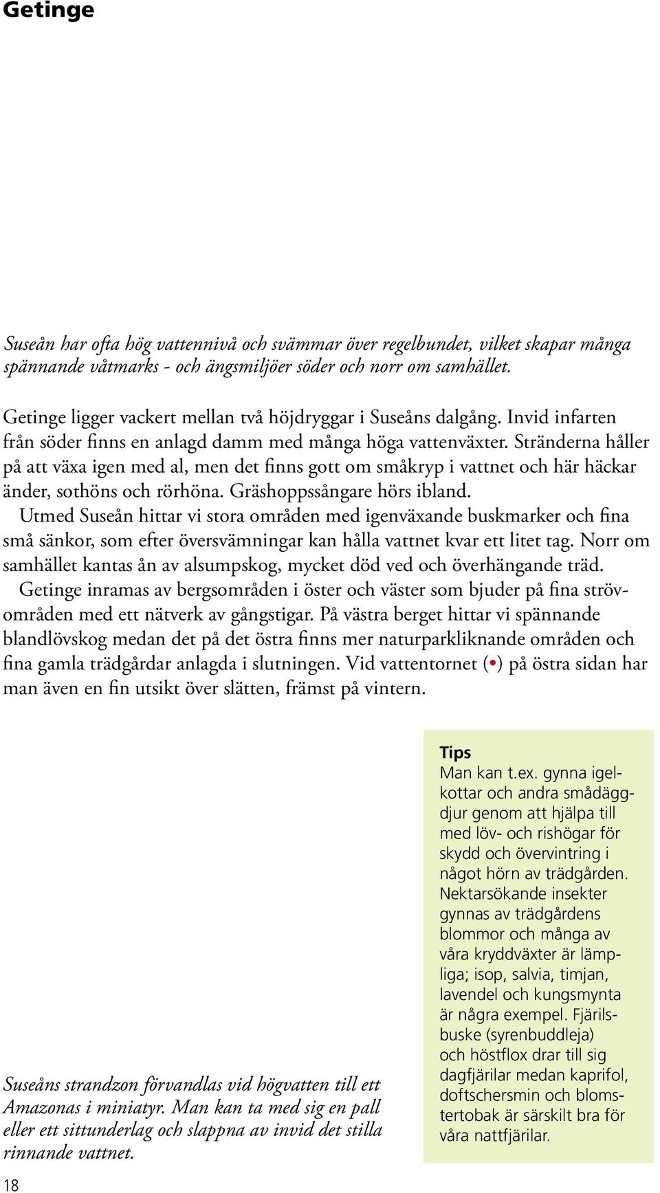 Stränderna håller på att växa igen med al, men det finns gott om småkryp i vattnet och här häckar änder, sothöns och rörhöna. Gräshoppssångare hörs ibland.