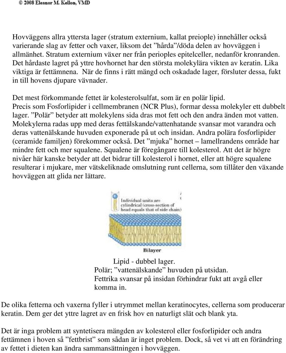 När de finns i rätt mängd och oskadade lager, försluter dessa, fukt in till hovens djupare vävnader. Det mest förkommande fettet är kolesterolsulfat, som är en polär lipid.