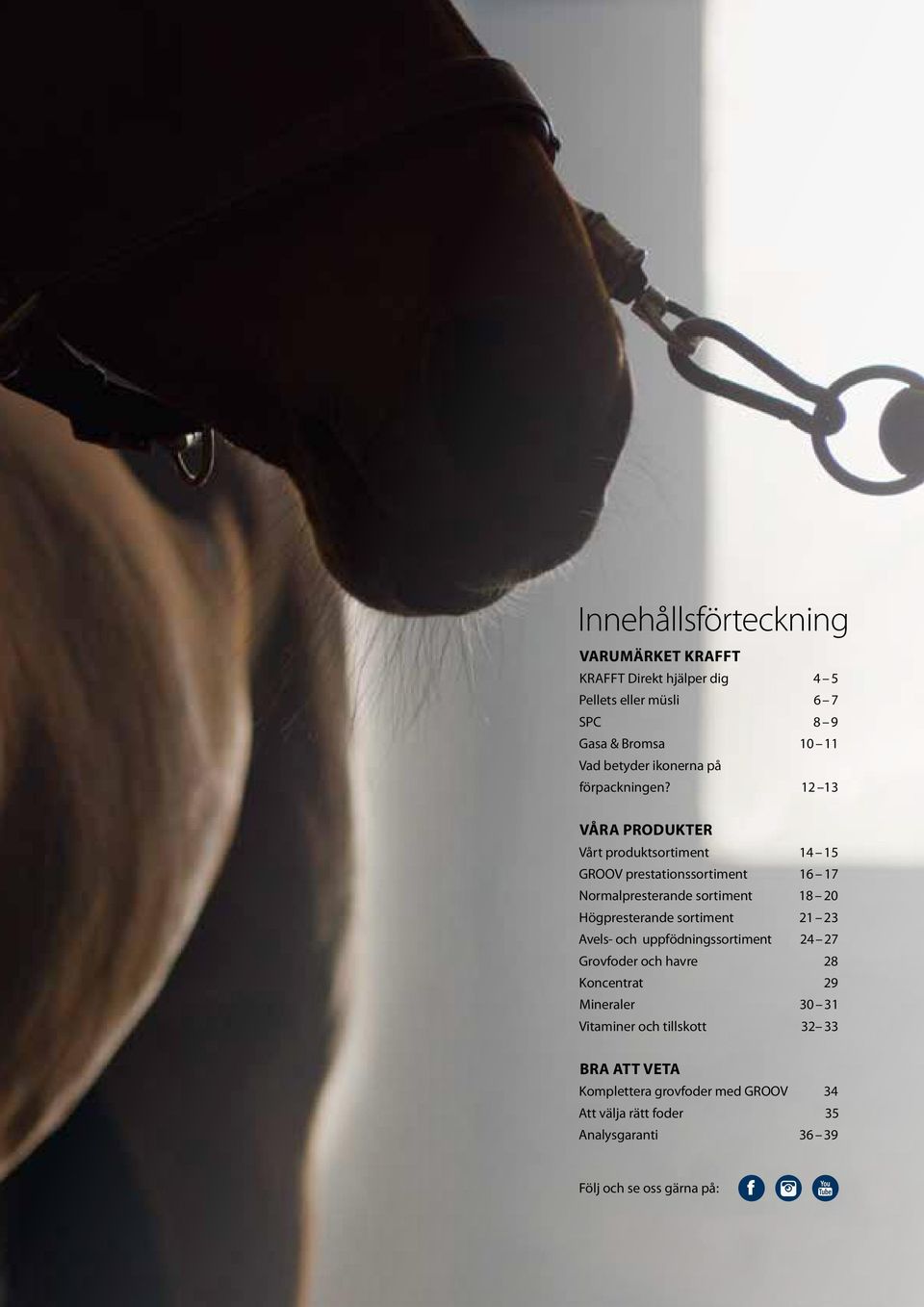 1 Våra produkter Vårt produktsortiment 1 1 GROOV prestationssortiment 16 17 Normalpresterande sortiment 1 0 Högpresterande