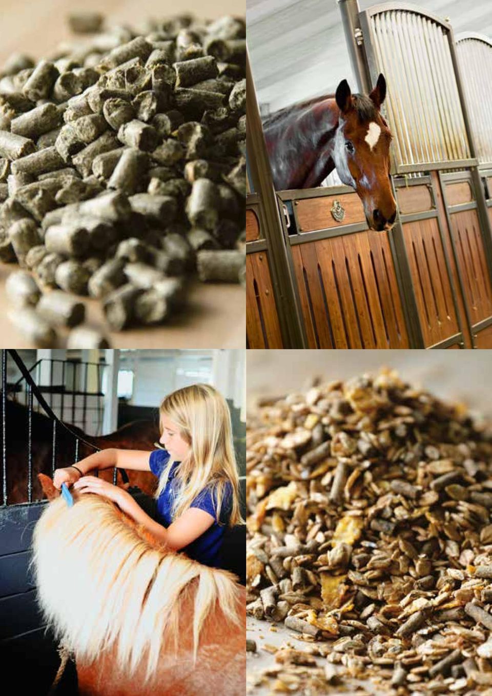 Breeding sector Convalescents Senior horses Excitable horses High protein quality Omega 3 & 6