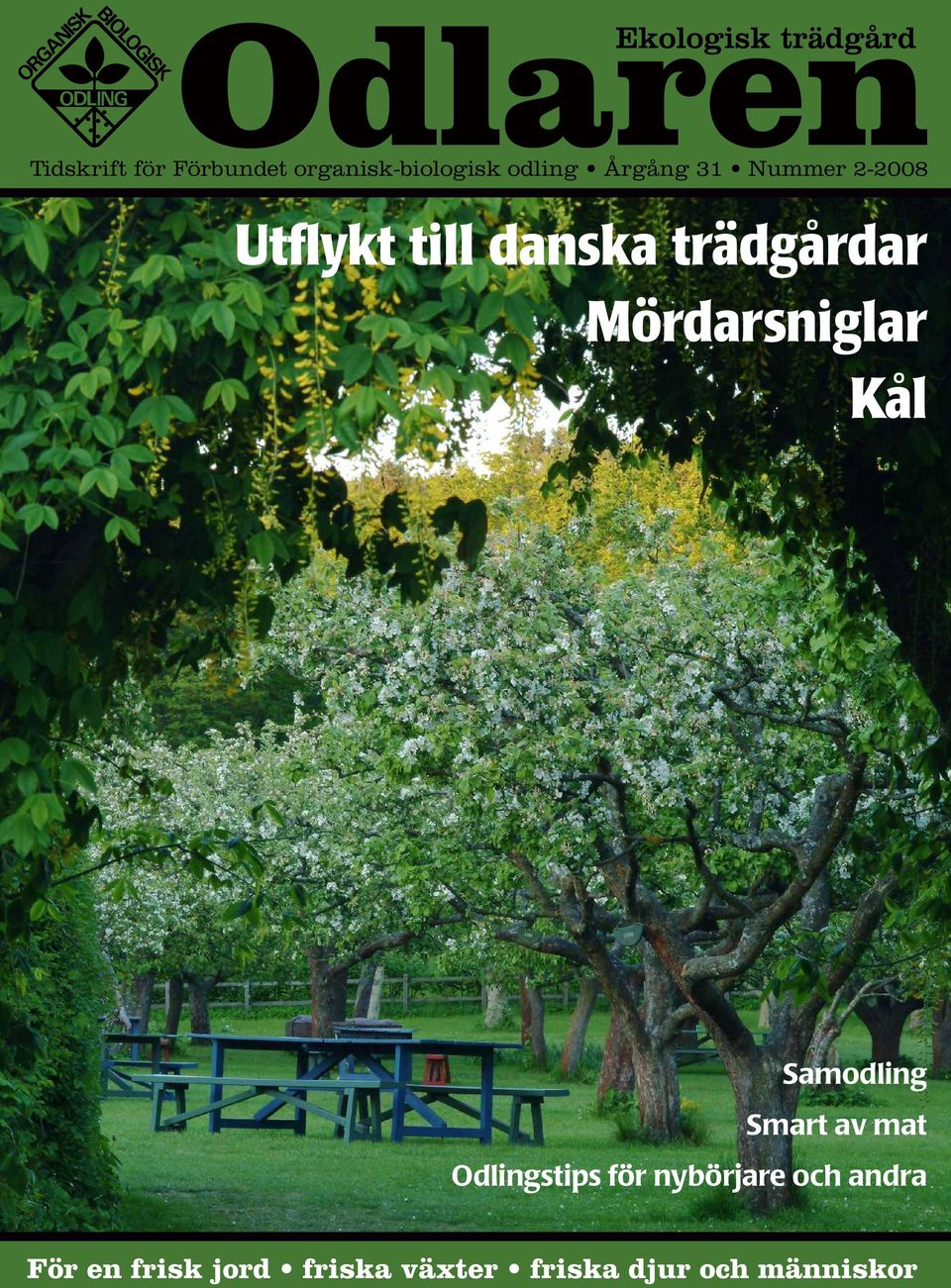 danska trädgårdar Mördarsniglar Kål Samodling