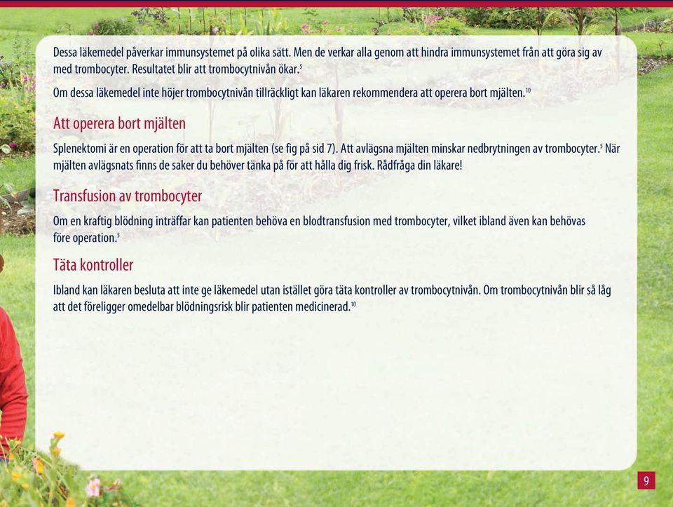 10 Att operera bort mjälten Splenektomi är en operation för att ta bort mjälten (se f ig på sid 7). Att avlägsna mjälten minskar nedbrytningen av trombocyter.