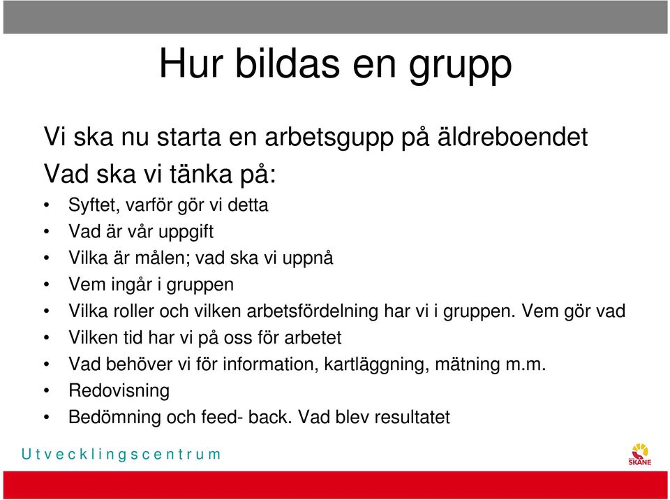 vilken arbetsfördelning har vi i gruppen.