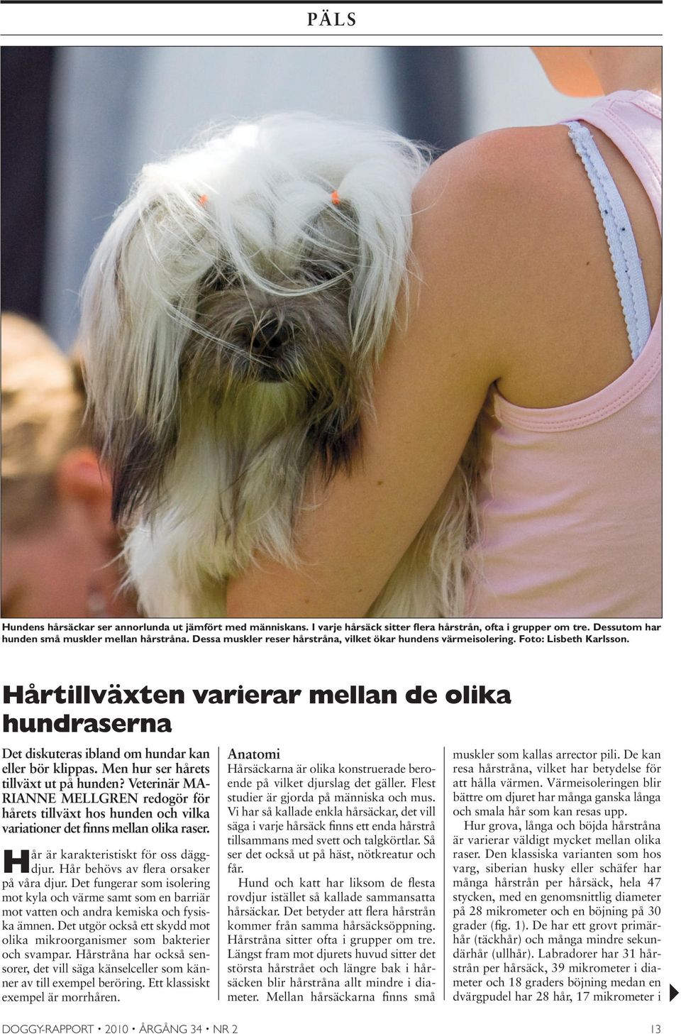 Men hur ser hårets tillväxt ut på hunden? Veterinär MA- RIANNE MELLGREN redogör för hårets tillväxt hos hunden och vilka variationer det finns mellan olika raser.