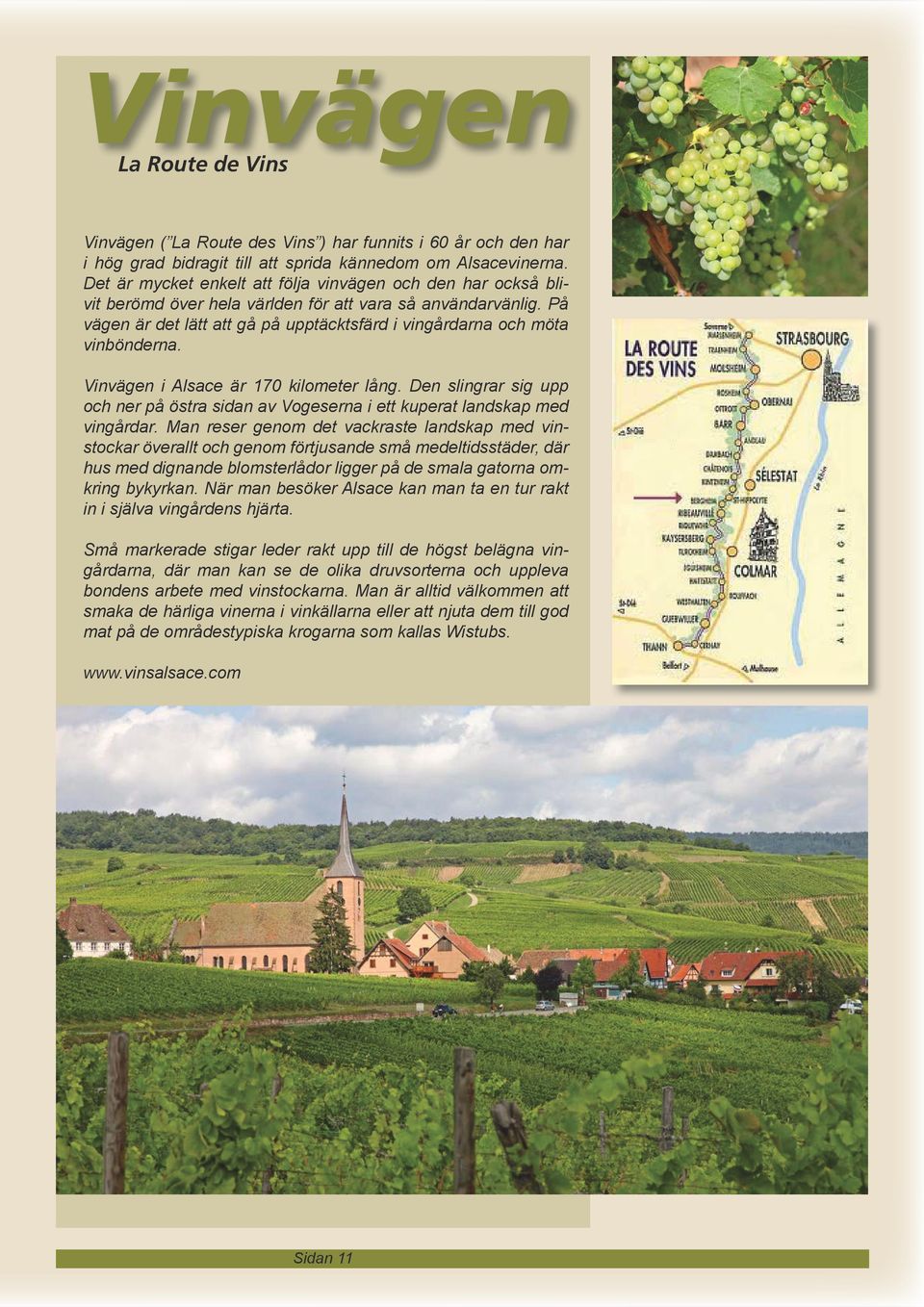På vägen är det lätt att gå på upptäcktsfärd i vingårdarna och möta vinbönderna. Vinvägen i Alsace är 170 kilometer lång.