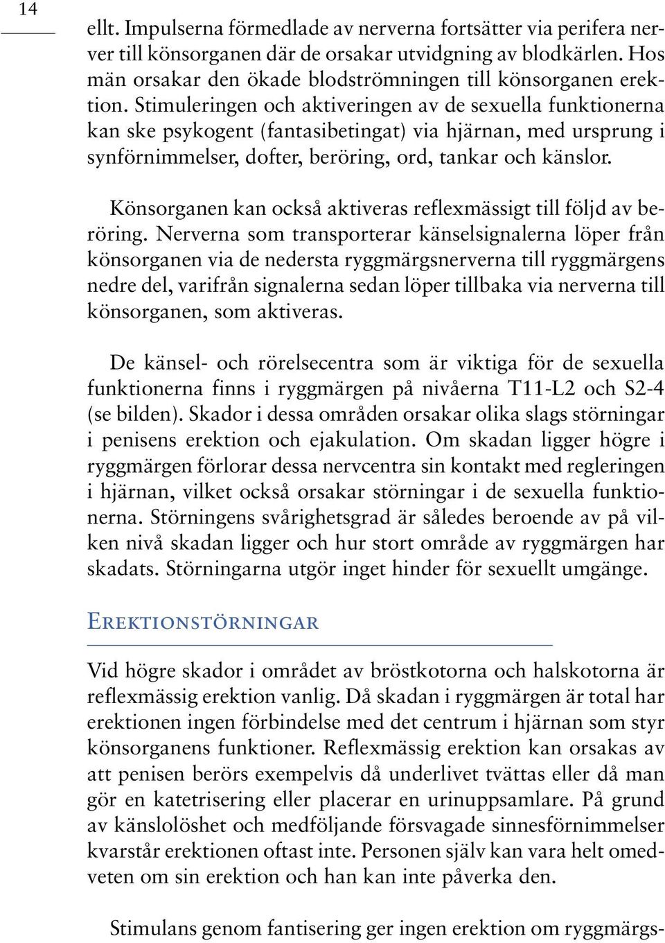 Könsorganen kan också aktiveras reflexmässigt till följd av beröring.