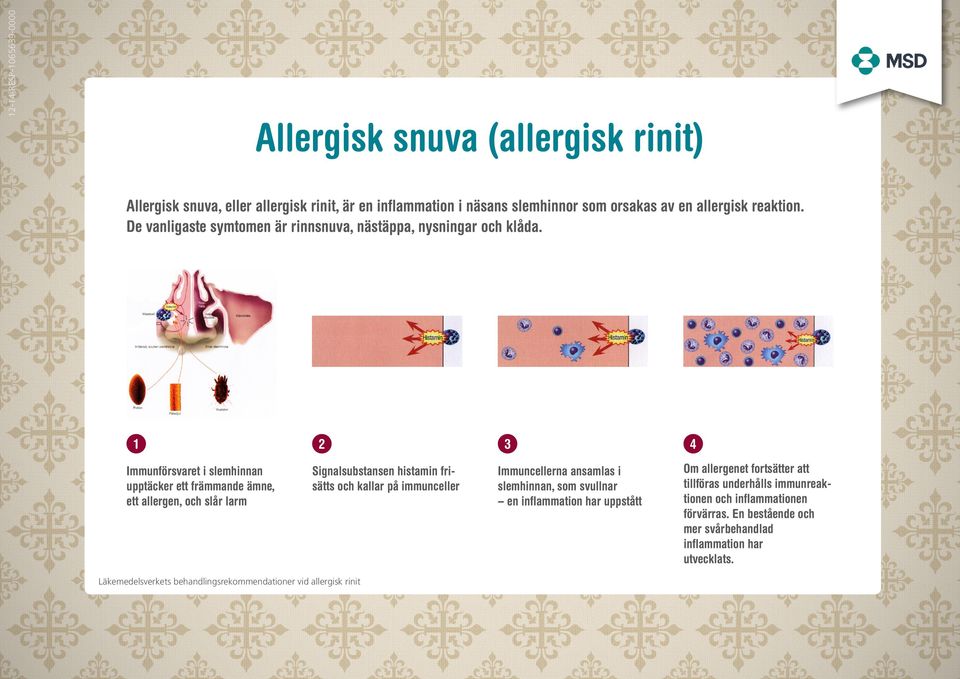 1 Immunförsvaret i slemhinnan upptäcker ett främmande ämne, ett allergen, och slår larm 2 Signalsubstansen histamin frisätts och kallar på immunceller Läkemedelsverkets