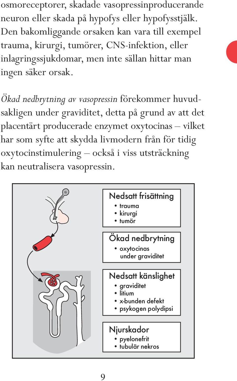 Ökad nedbrytning av vasopressin förekommer huvudsakligen under graviditet, detta på grund av att det placentärt producerade enzymet oxytocinas vilket har som syfte att skydda