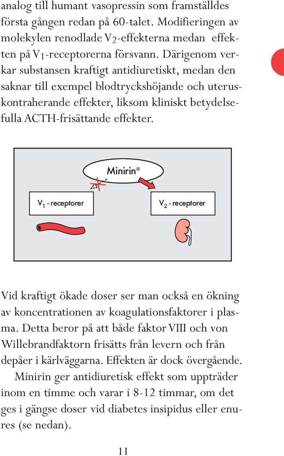 Minirin V 1 - receptorer V 2 - receptorer Vid kraftigt ökade doser ser man också en ökning av koncentrationen av koagulationsfaktorer i plasma.