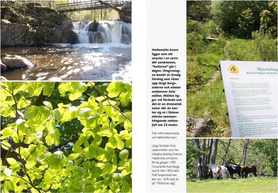 Möllan ligger vid Verkeån och det är en dramatisk natur där ån kastar sig ut i Skånes största sammanhängande vattenfall om 23 meter.