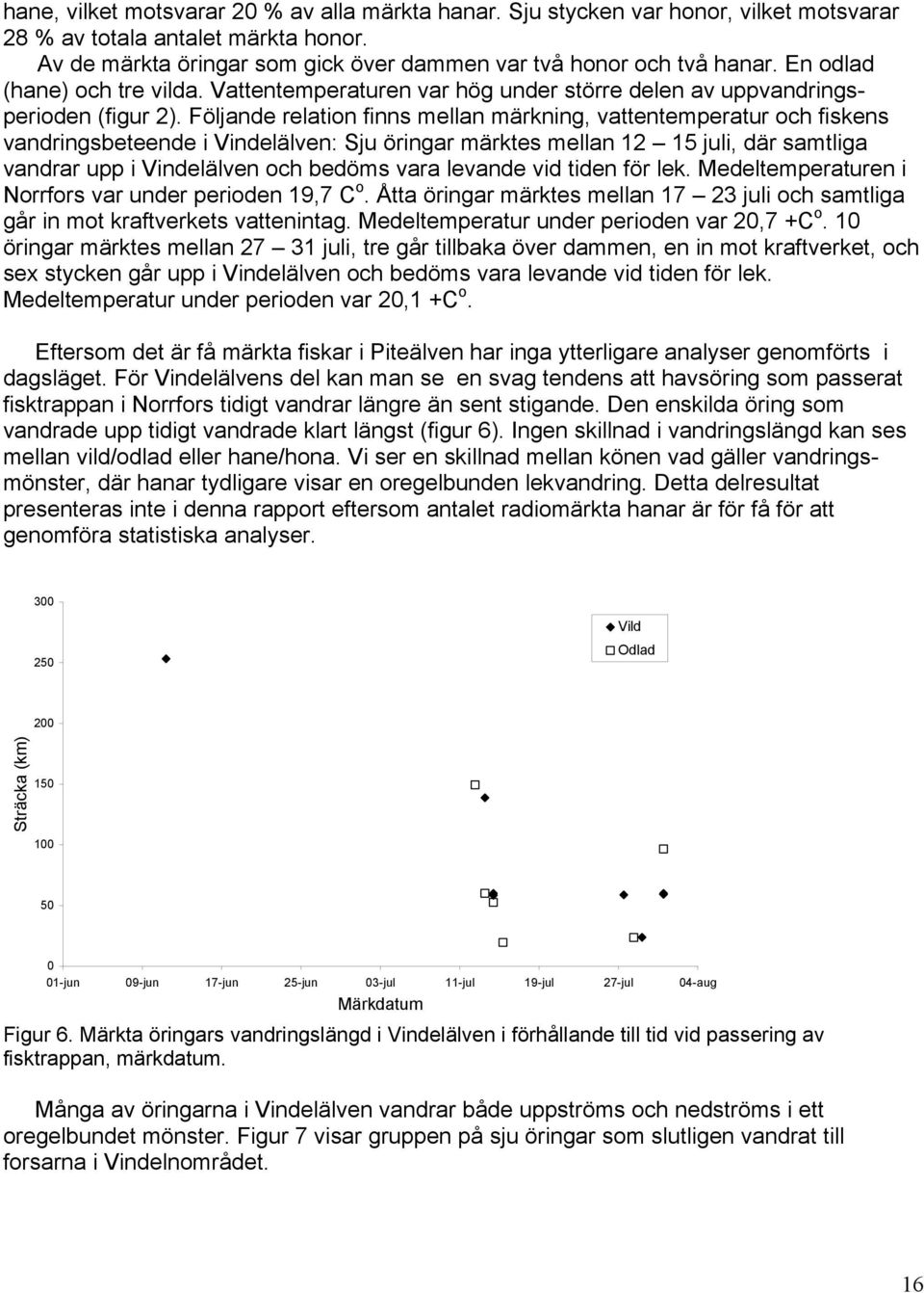 Följande relation finns mellan märkning, vattentemperatur och fiskens vandringsbeteende i Vindelälven: Sju öringar märktes mellan 12 15 juli, där samtliga vandrar upp i Vindelälven och bedöms vara