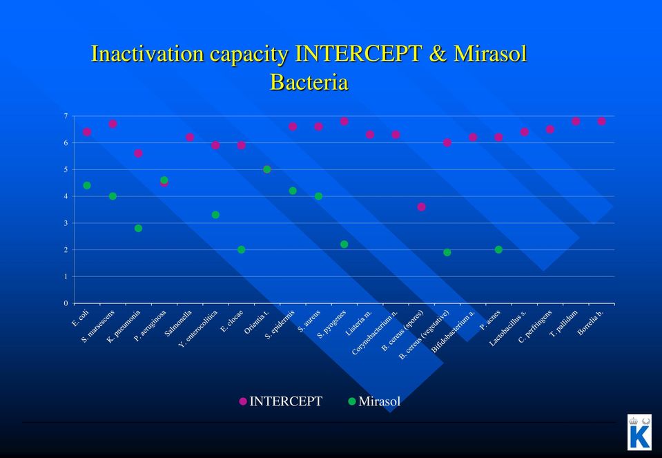 Mirasol Bacteria 7 6