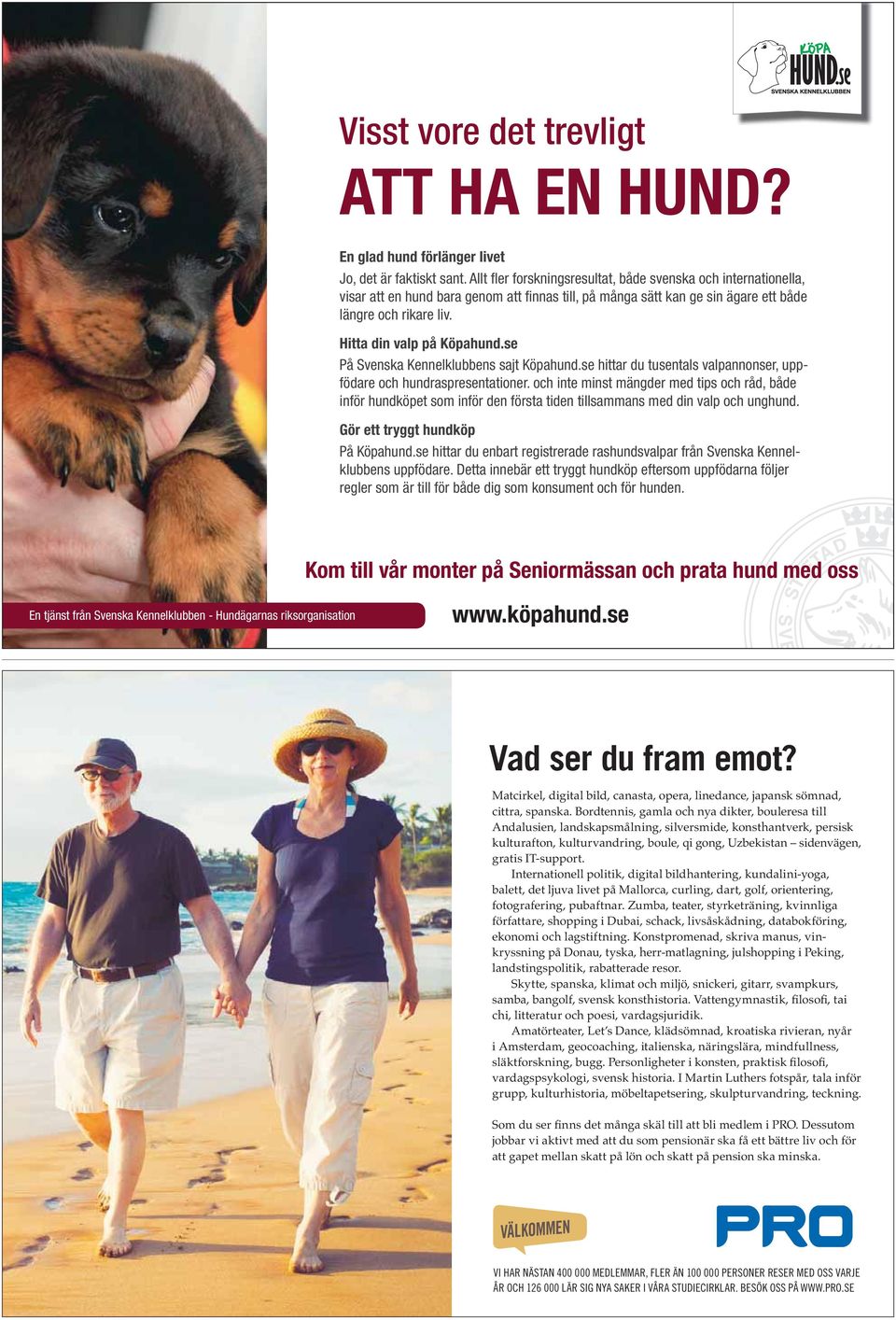 se På Svenska Kennelklubbens sajt Köpahund.se hittar du tusentals valpannonser, uppfödare och hundraspresentationer.