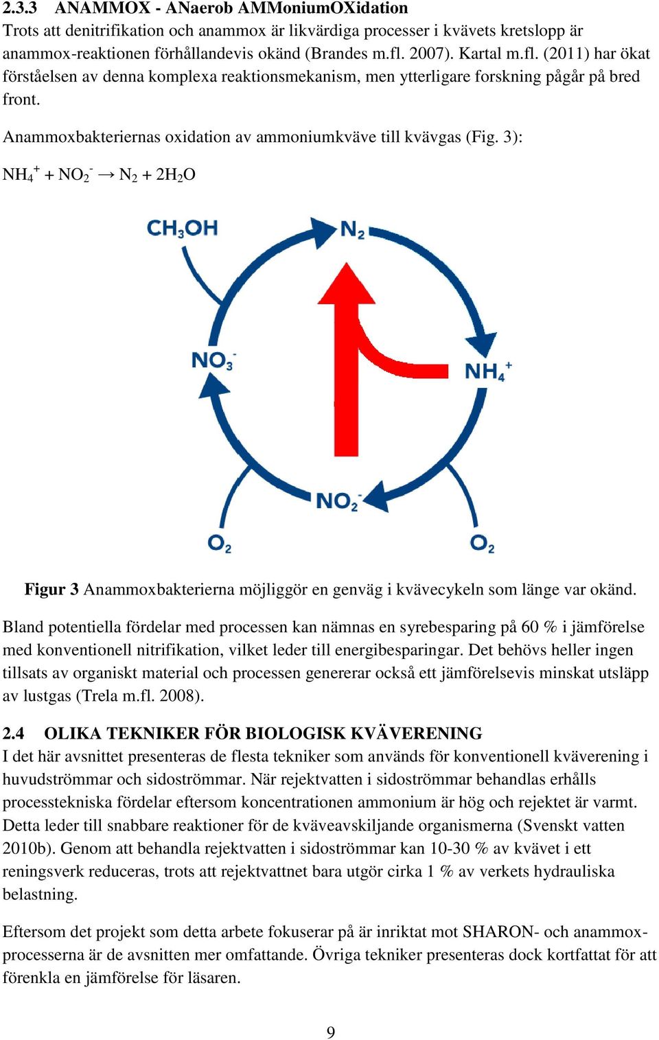 3): NH 4 + + NO 2 - N 2 + 2H 2 O Figur 3 Anammoxbakterierna möjliggör en genväg i kvävecykeln som länge var okänd.