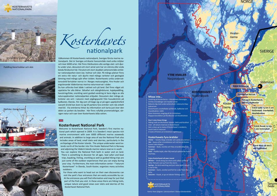 Här finns Västkustens alla vanliga växt- och djurliv under ytan, dessutom ett stort antal som har sin största eller enda kända förekomst här.