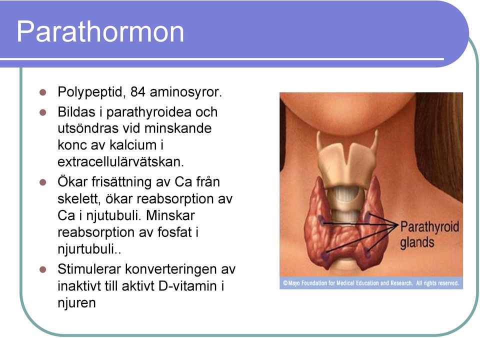 extracellulärvätskan.