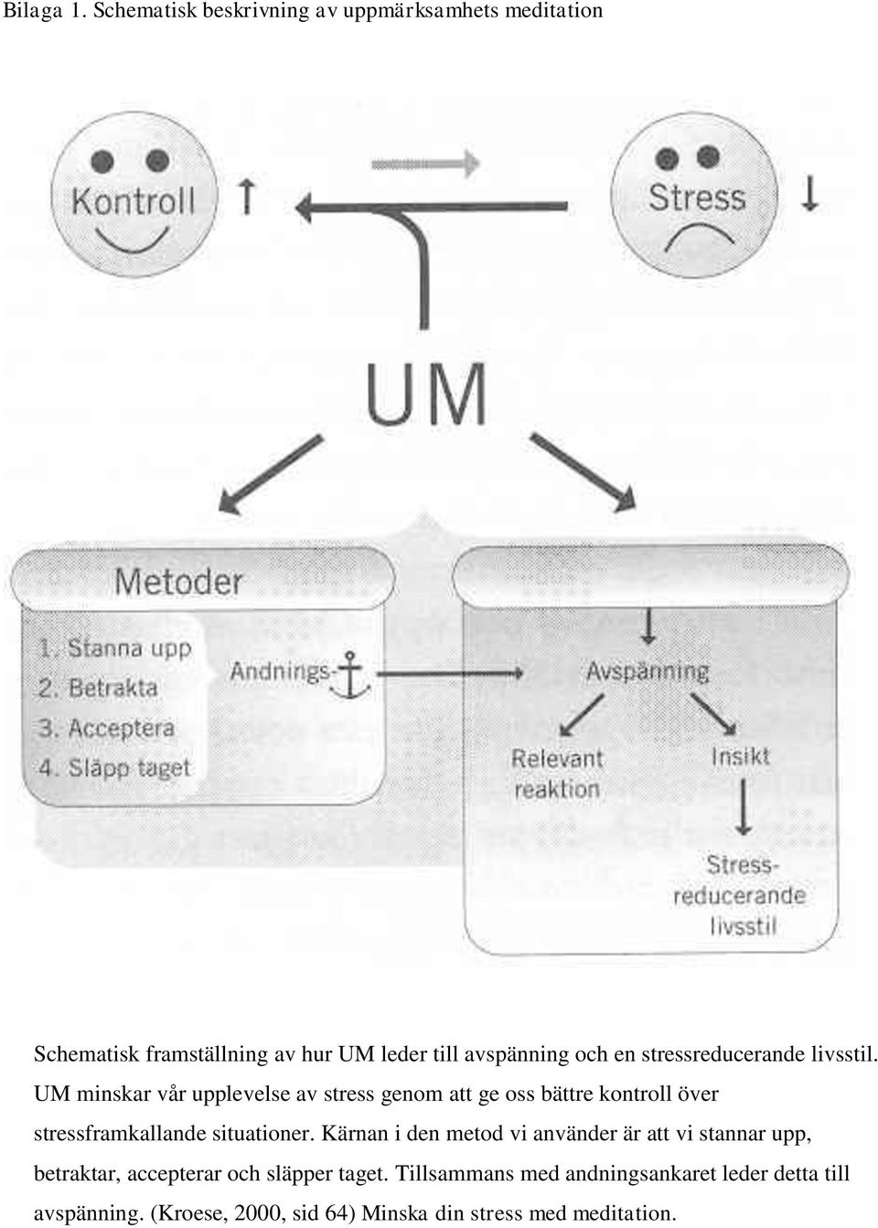 stressreducerande livsstil.