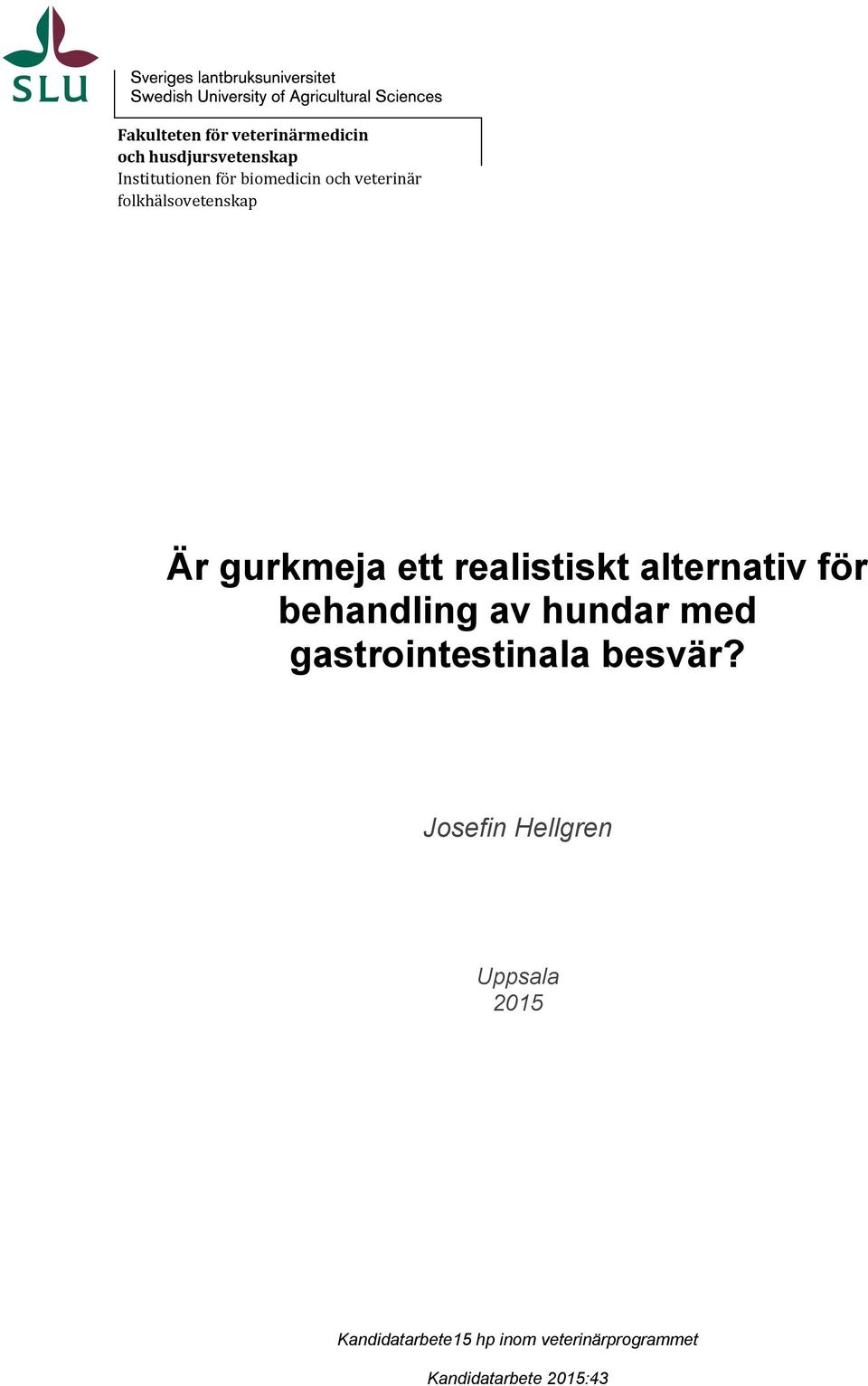 alternativ för behandling av hundar med gastrointestinala besvär?