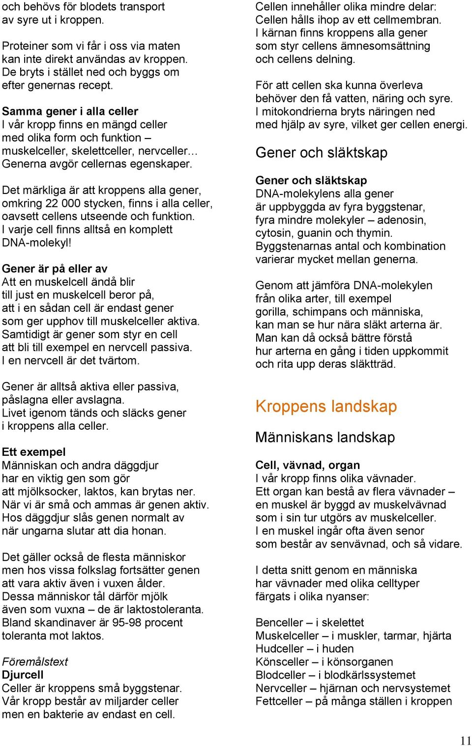 Det märkliga är att kroppens alla gener, omkring 22 000 stycken, finns i alla celler, oavsett cellens utseende och funktion. I varje cell finns alltså en komplett DNA-molekyl!