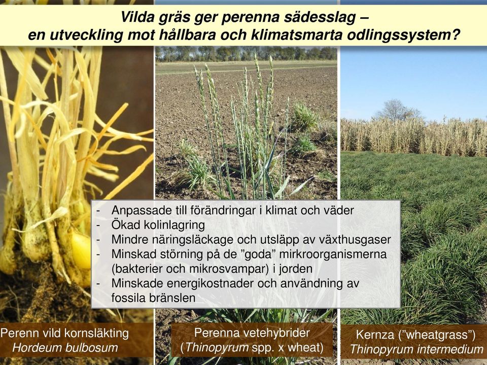 Minskad störning på de goda mirkroorganismerna (bakterier och mikrosvampar) i jorden - Minskade energikostnader och