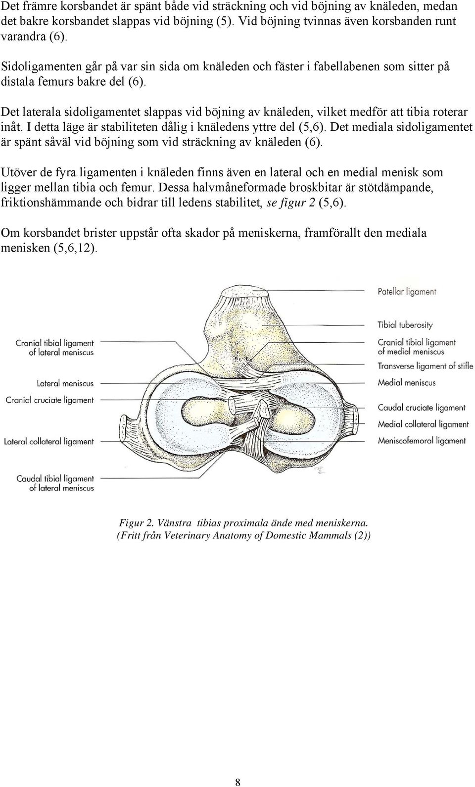 Det laterala sidoligamentet slappas vid böjning av knäleden, vilket medför att tibia roterar inåt. I detta läge är stabiliteten dålig i knäledens yttre del (5,6).