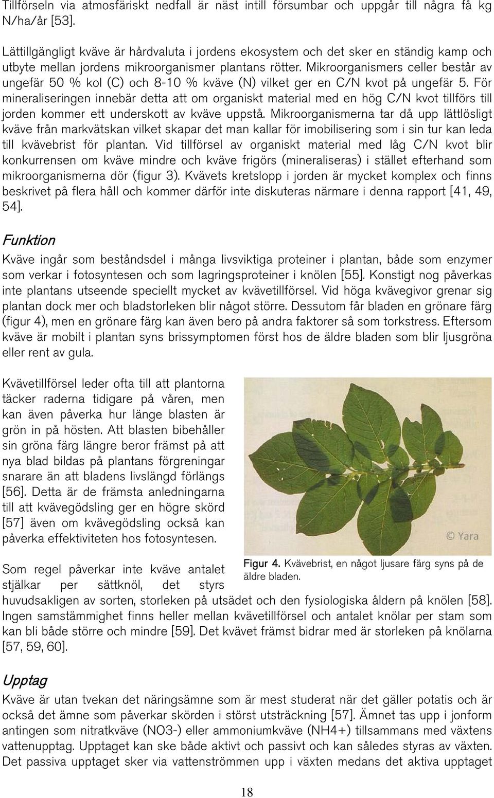 Mikroorganismers celler består av ungefär 50 % kol (C) och 8-10 % kväve (N) vilket ger en C/N kvot på ungefär 5.