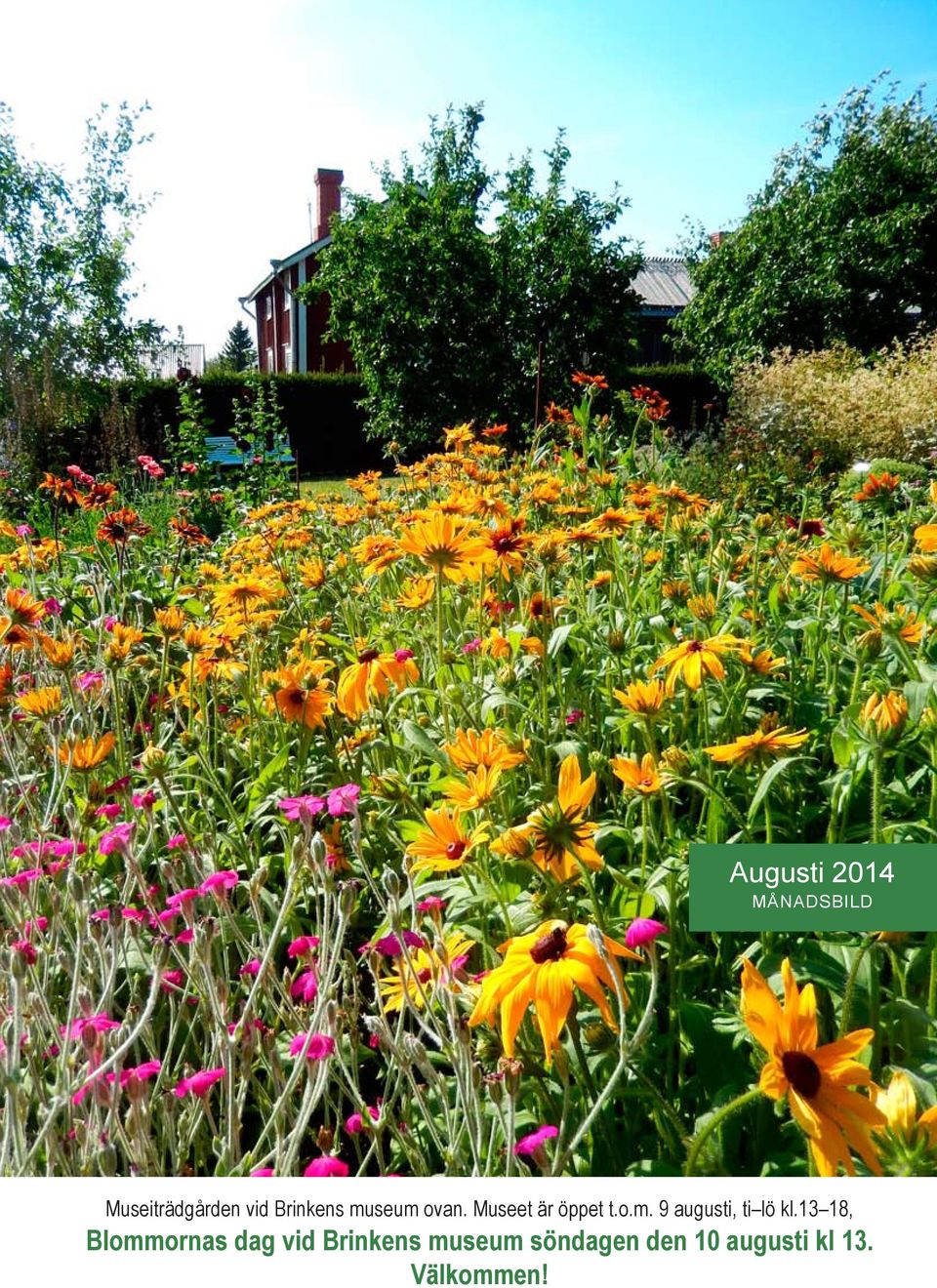 13 18, Blommornas dag vid Brinkens museum