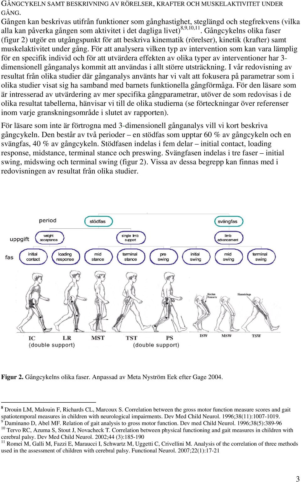 Gångcykelns olika faser (figur 2) utgör en utgångspunkt för att beskriva kinematik (rörelser), kinetik (krafter) samt muskelaktivitet under gång.