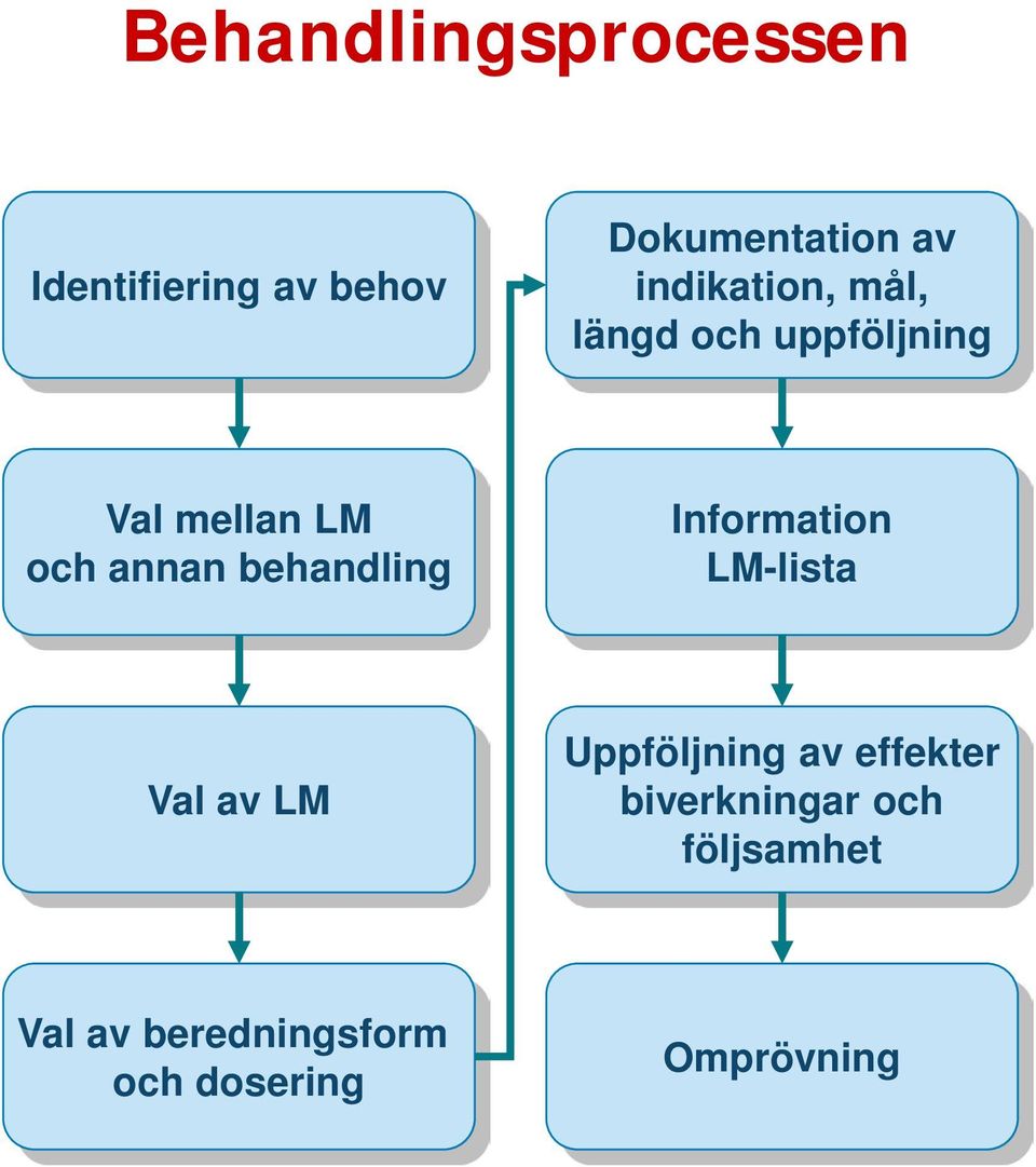 behandling Information LM-lista Val av LM Uppföljning av effekter