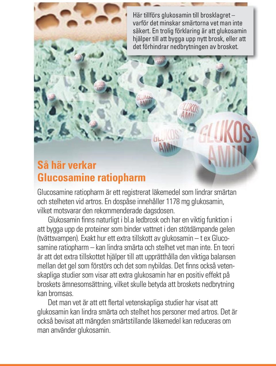 Så här verkar Glucosamine ratiopharm Glucosamine ratiopharm är ett registrerat läkemedel som lindrar smärtan och stelheten vid artros.