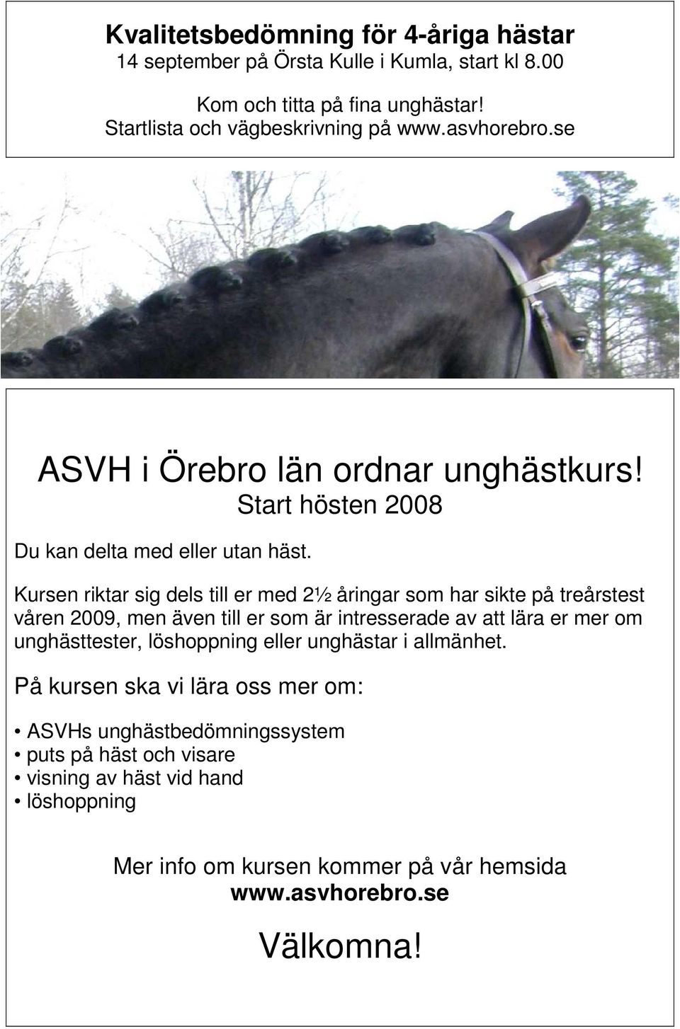 Kursen riktar sig dels till er med 2½ åringar som har sikte på treårstest våren 2009, men även till er som är intresserade av att lära er mer om unghästtester,