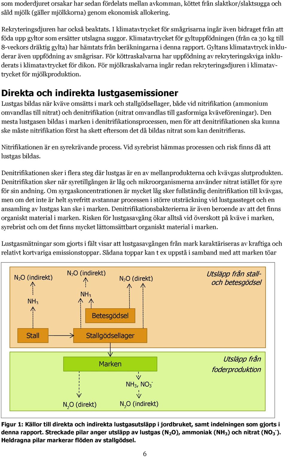 Klimatavtrycket för gyltuppfödningen (från ca 30 kg till 8-veckors dräktig gylta) har hämtats från beräkningarna i denna rapport. Gyltans klimatavtryck inkluderar även uppfödning av smågrisar.