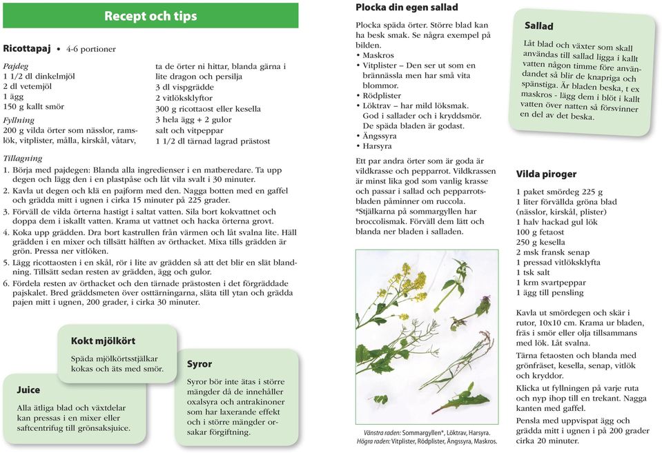 Nagga botten med en gaffel och grädda mitt i ugnen i cirka 15 minuter på 225 grader. 3. Förväll de vilda örterna hastigt i saltat vatten. Sila bort kokvattnet och doppa dem i iskallt vatten.