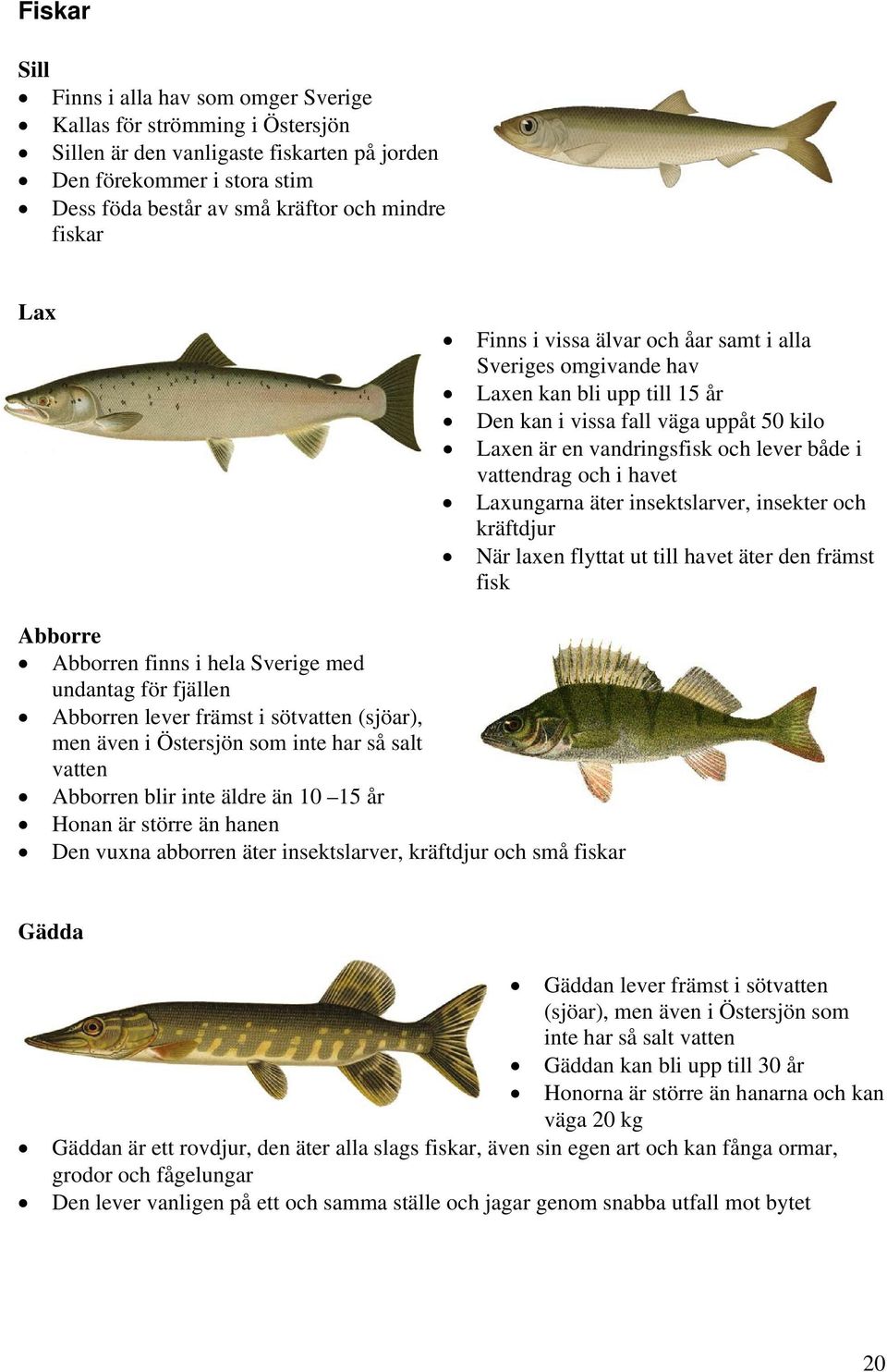 och i havet Laxungarna äter insektslarver, insekter och kräftdjur När laxen flyttat ut till havet äter den främst fisk Abborre Abborren finns i hela Sverige med undantag för fjällen Abborren lever