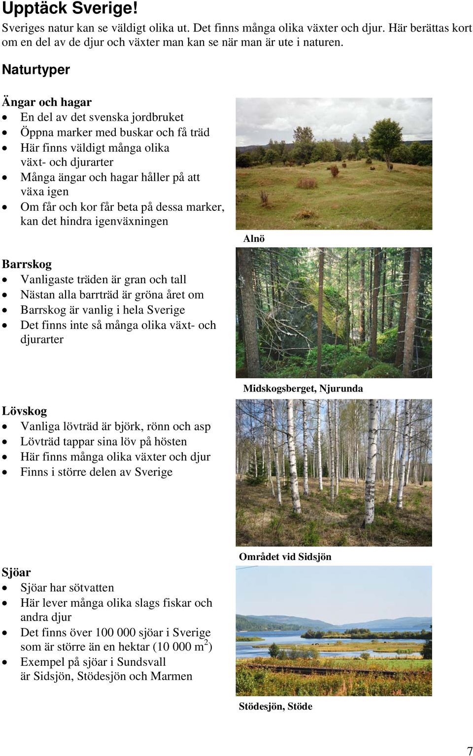 och kor får beta på dessa marker, kan det hindra igenväxningen Alnö Barrskog Vanligaste träden är gran och tall Nästan alla barrträd är gröna året om Barrskog är vanlig i hela Sverige Det finns inte