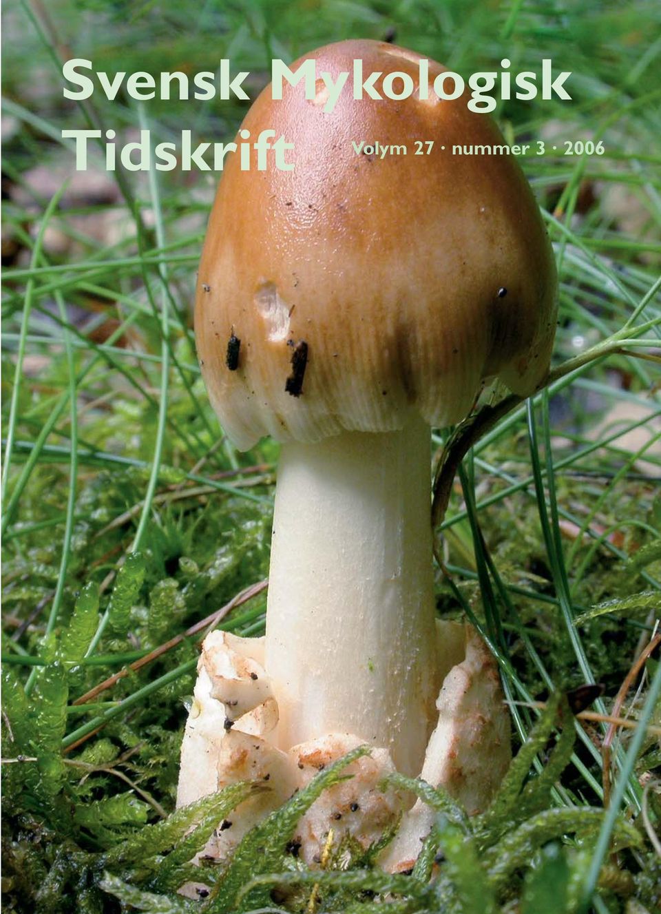 Tidskrift