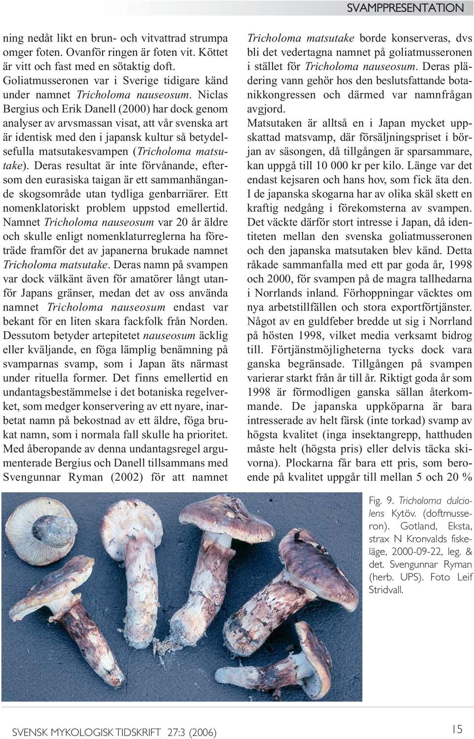 Niclas Bergius och Erik Danell (2000) har dock genom analyser av arvsmassan visat, att vår svenska art är identisk med den i japansk kultur så betydelsefulla matsutakesvampen (Tricholoma matsutake).