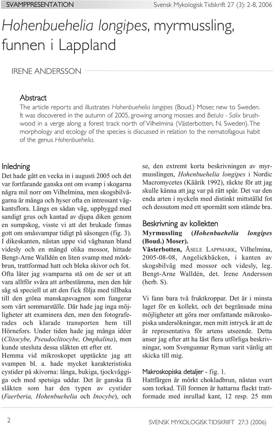 The morphology and ecology of the species is discussed in relation to the nematofagous habit of the genus Hohenbuehelia.