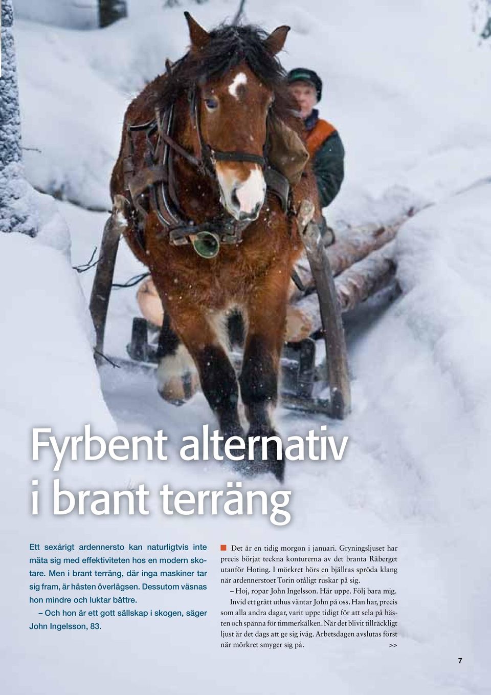 Det är en tidig morgon i januari. Gryningsljuset har precis börjat teckna konturerna av det branta Råberget utanför Hoting.