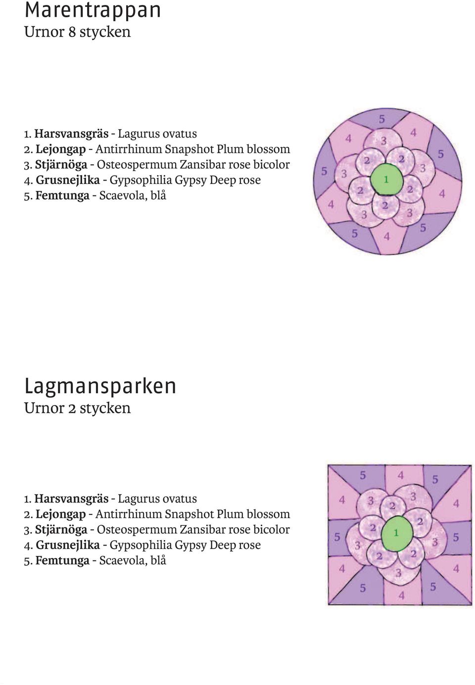 Femtunga - Scaevola, blå Lagmansparken Urnor 2 stycken 1. Harsvansgräs - Lagurus ovatus 2.
