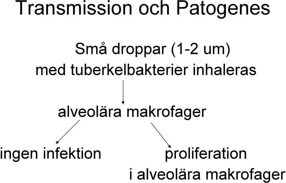 inhaleras alveolära makrofager ingen